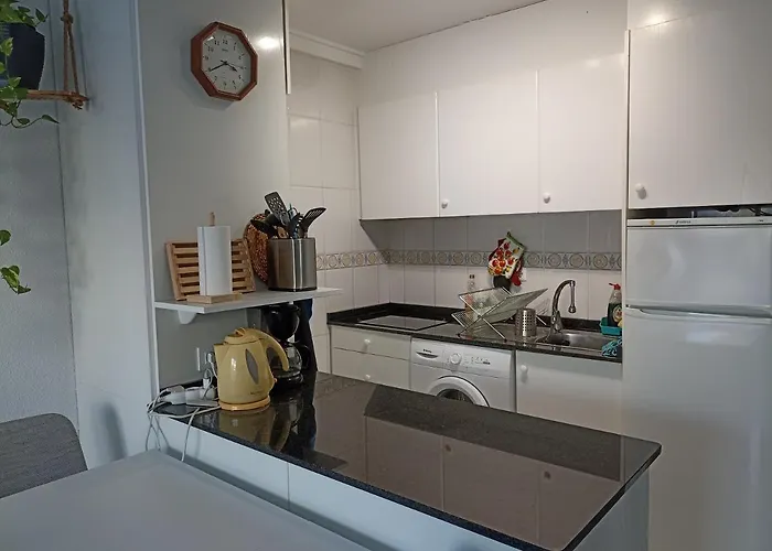 公寓 Els Molins Atico Con Azotea Privada A 500m De La Playa 德尼亚